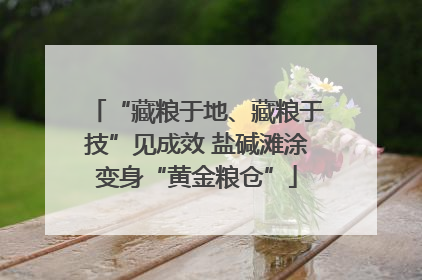 “藏粮于地、藏粮于技”见成效 盐碱滩涂变身“黄金粮仓”