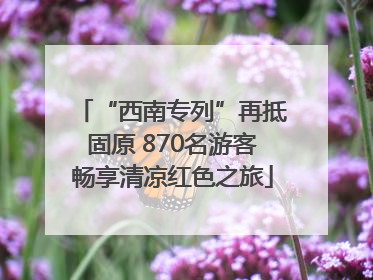 “西南专列”再抵固原 870名游客畅享清凉红色之旅