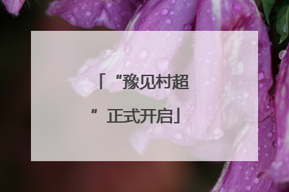 “豫见村超”正式开启