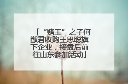 “赌王”之子何猷君收购王思聪旗下企业，接盘后前往山东参加活动