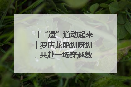 “遗”道动起来｜罗店龙船划呀划，共赴一场穿越数百年的端午之约