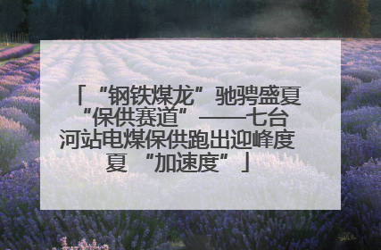 “钢铁煤龙”驰骋盛夏 “保供赛道”——七台河站电煤保供跑出迎峰度夏 “加速度”