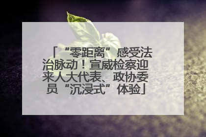 “零距离”感受法治脉动！宣威检察迎来人大代表、政协委员“沉浸式”体验