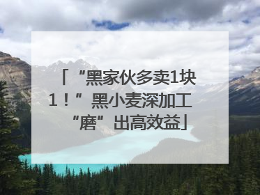 “黑家伙多卖1块1！”黑小麦深加工“磨”出高效益