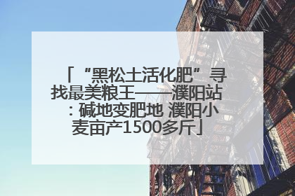 “黑松土活化肥”寻找最美粮王——濮阳站：碱地变肥地 濮阳小麦亩产1500多斤