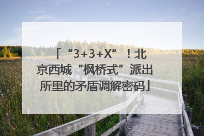 “3+3+X”！北京西城“枫桥式”派出所里的矛盾调解密码