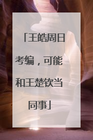 王皓周日考编，可能和王楚钦当同事