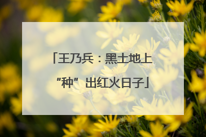 王乃兵：黑土地上“种”出红火日子