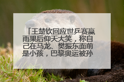 王楚钦回应世乒赛赢雨果后仰天大笑，称自己在马龙、樊振东面前是小孩，巴黎奥运被孙颖莎带着打