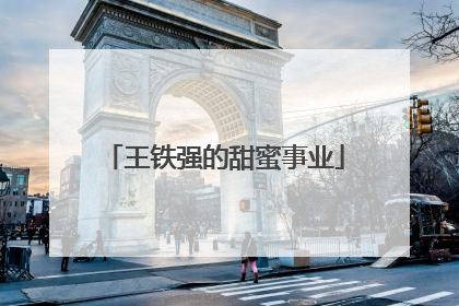 王铁强的甜蜜事业