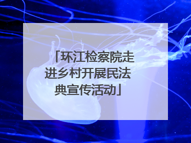 环江检察院走进乡村开展民法典宣传活动