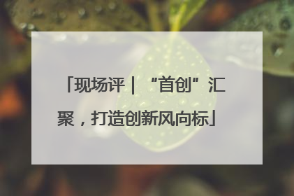 现场评｜“首创”汇聚，打造创新风向标
