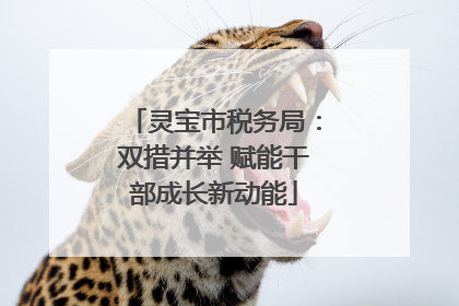 灵宝市税务局：双措并举 赋能干部成长新动能