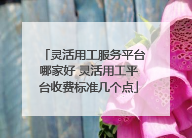 灵活用工服务平台哪家好 灵活用工平台收费标准几个点