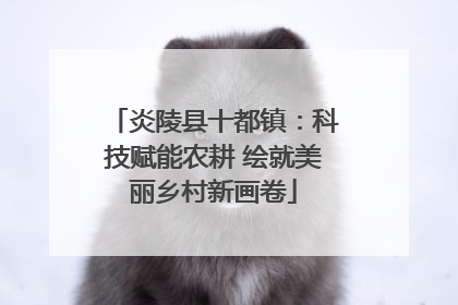炎陵县十都镇：科技赋能农耕 绘就美丽乡村新画卷
