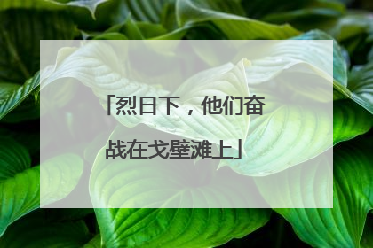 烈日下，他们奋战在戈壁滩上