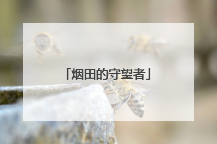 烟田的守望者