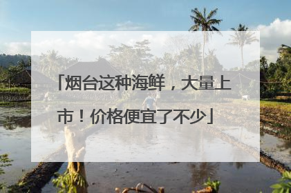 烟台这种海鲜，大量上市！价格便宜了不少