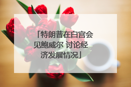 特朗普在白宫会见鲍威尔 讨论经济发展情况