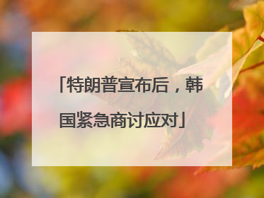 特朗普宣布后，韩国紧急商讨应对