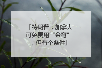 特朗普：加拿大可免费用“金穹”，但有个条件
