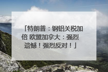 特朗普：钢铝关税加倍 欧盟加拿大：强烈遗憾！强烈反对！