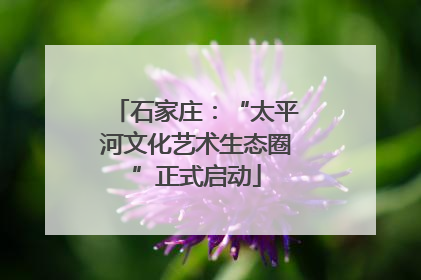 石家庄：“太平河文化艺术生态圈”正式启动