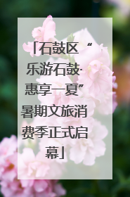 石鼓区“乐游石鼓·惠享一夏”暑期文旅消费季正式启幕