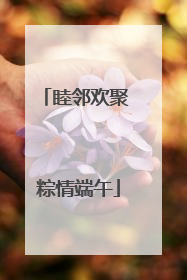 睦邻欢聚 粽情端午