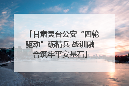 甘肃灵台公安“四轮驱动”砺精兵 战训融合筑牢平安基石