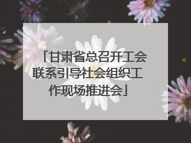 甘肃省总召开工会联系引导社会组织工作现场推进会