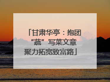 甘肃华亭：抱团“蔬”写菜文章 聚力拓宽致富路