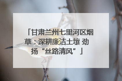 甘肃兰州七里河区烟草：深耕廉洁土壤 劲扬“丝路清风”