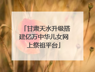 甘肃天水升级搭建亿万中华儿女网上祭祖平台