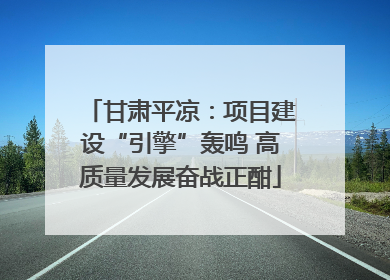 甘肃平凉：项目建设“引擎”轰鸣 高质量发展奋战正酣