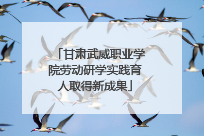 甘肃武威职业学院劳动研学实践育人取得新成果
