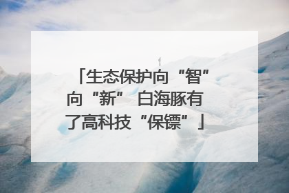 生态保护向“智”向“新” 白海豚有了高科技“保镖”