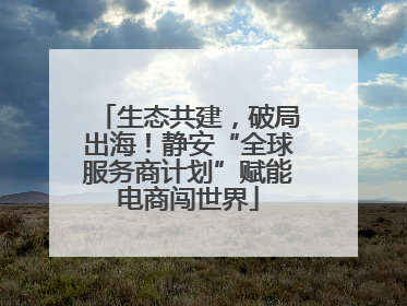 生态共建，破局出海！静安“全球服务商计划”赋能电商闯世界