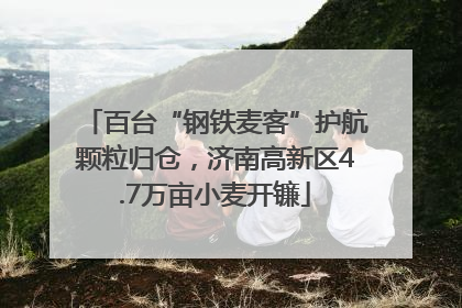 百台“钢铁麦客”护航颗粒归仓，济南高新区4.7万亩小麦开镰