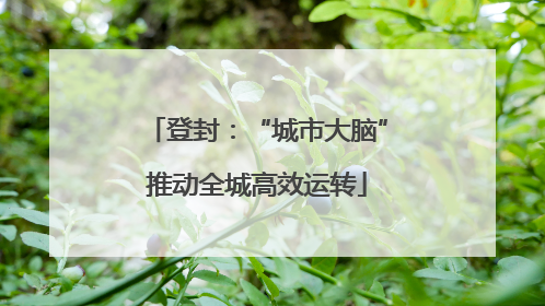 登封：“城市大脑”推动全城高效运转