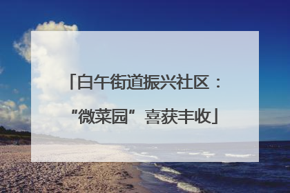 白午街道振兴社区：“微菜园”喜获丰收
