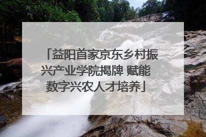 益阳首家京东乡村振兴产业学院揭牌 赋能数字兴农人才培养
