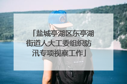 盐城亭湖区东亭湖街道人大工委组织防汛专项视察工作