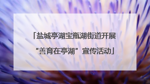 盐城亭湖宝瓶湖街道开展“善育在亭湖”宣传活动