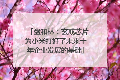 盘和林：玄戒芯片为小米打好了未来十年企业发展的基础
