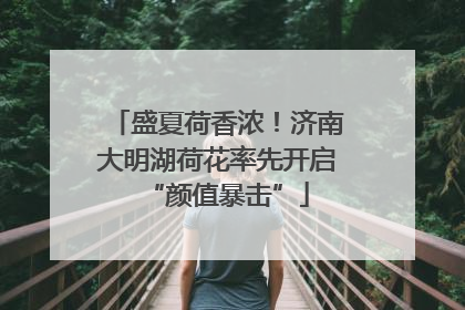 盛夏荷香浓！济南大明湖荷花率先开启“颜值暴击”