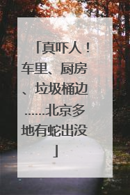 真吓人！车里、厨房、垃圾桶边……北京多地有蛇出没