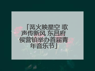 篝火映星空 歌声传新风 东昌府侯营镇举办首届青年音乐节