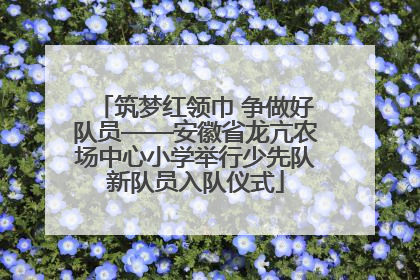 筑梦红领巾 争做好队员——安徽省龙亢农场中心小学举行少先队新队员入队仪式