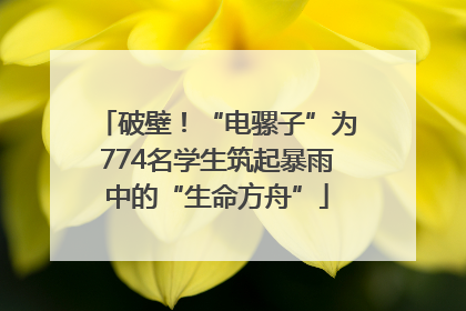 破壁！“电骡子”为774名学生筑起暴雨中的“生命方舟”